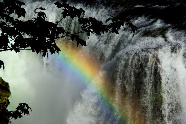 rainbow rainbow