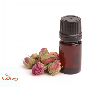Do you love essential oils? We’re totally into clean air and lovely scents here at Blossom Clinic. Today on the blog, Janene Mitchell, Acupuncturist, shares some of her favorite 5 Essential Oils. Enjoy!
