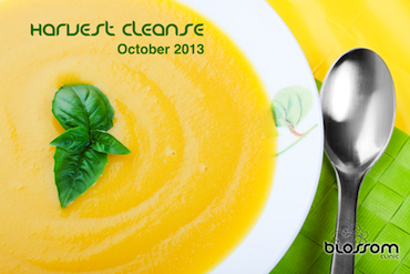 The Harvest Cleanse package includes a group class, 2 naturopathic visits and 2 acupuncture visits with a 25% discount.