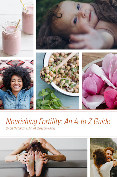 Sign up in advance to receive a free copy of Nourishing Fertility: An A-to-Z Guide! This 40 page book is filled with great information.