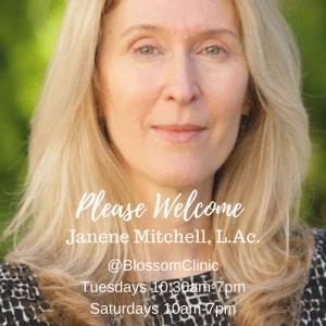 blossom clinic acupuncturist Janene Mitchell acupuncture portland