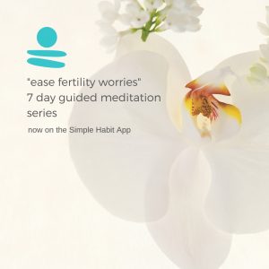 Guided Meditations